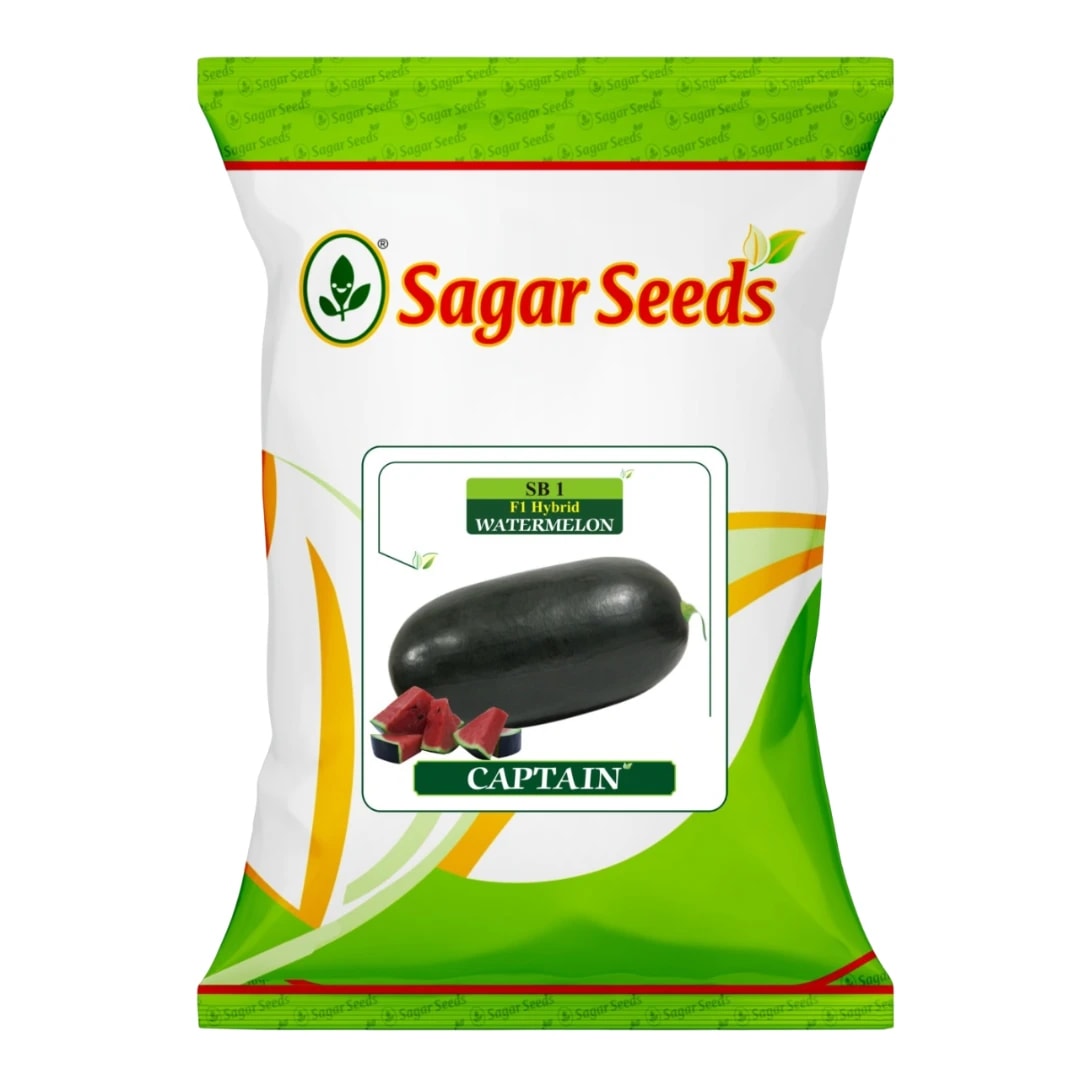 Sagar Seeds CAPTAIN F1 Hybrid Watermelon Seeds, High Yield, Oval and Capsule Type