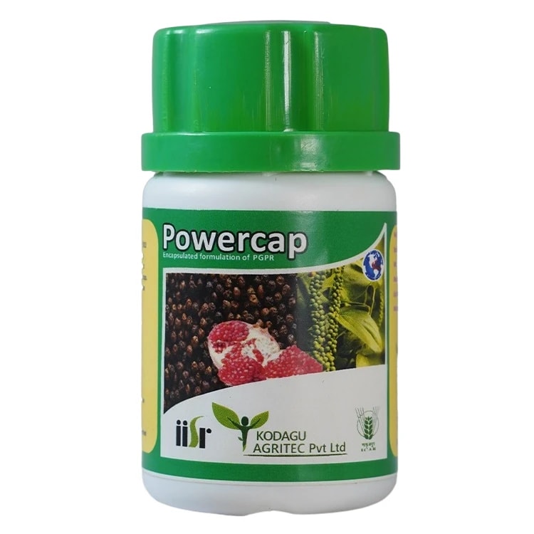 Kodagu Powercap Plant Growth Promoting Rhizobacteria Biofertilizer Capsules
