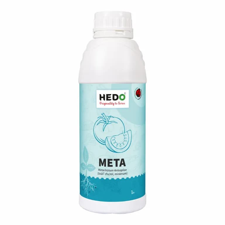 HEDO Meta (Metarhizium Anisopliae) Liquid Bio Pesticide For Agriculture, Garden & All Crops To Control Beetles, Weevils, White Grubs, Aphids & Thrips