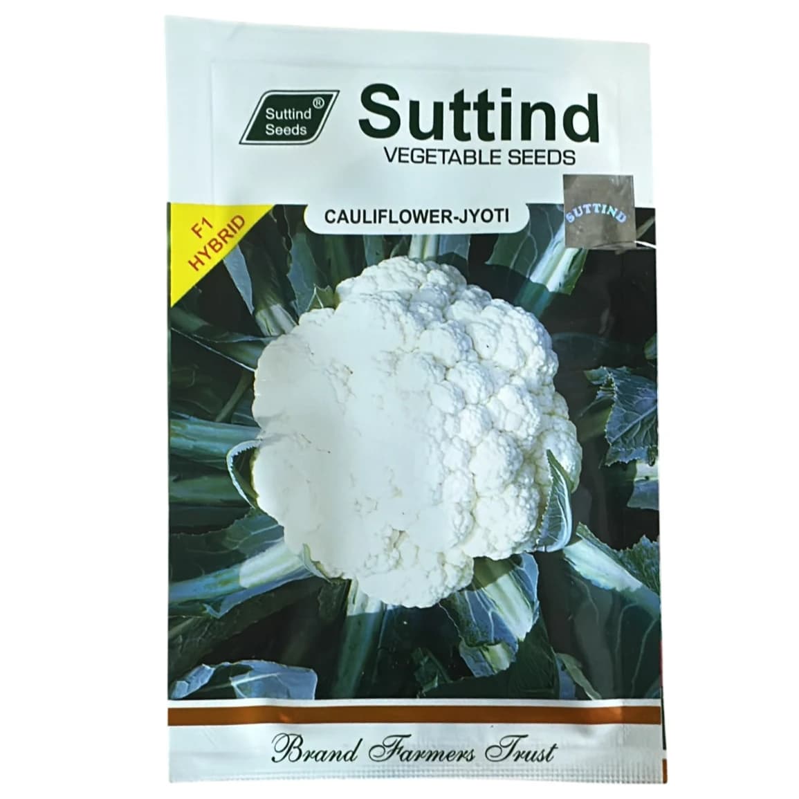 Suttind JYOTI F1 Hybrid Cauliflower Seeds, Medium Compact And High Yield Variety - Image 1