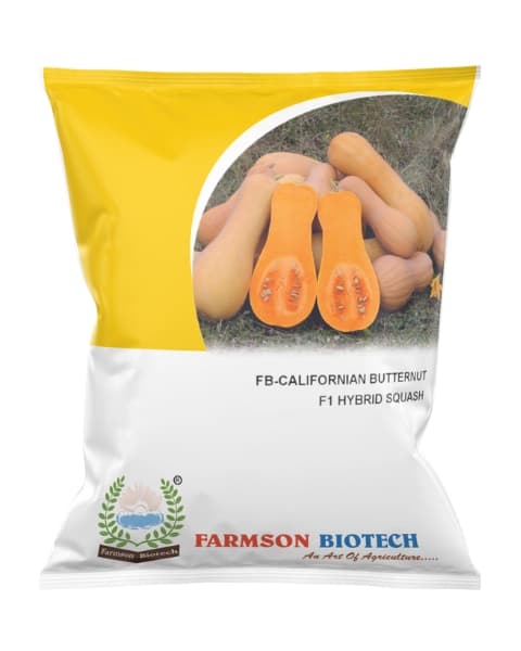 Farmson FB Californian Butternut F1 Hybrid Squash Seeds, High Yield and Quality - Image 1