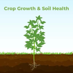 Growth and Development Combo (Farmtone NPK 19:19:19 3 Kg + HUBEL Humic Acid 98% 1.2 Kg) 3