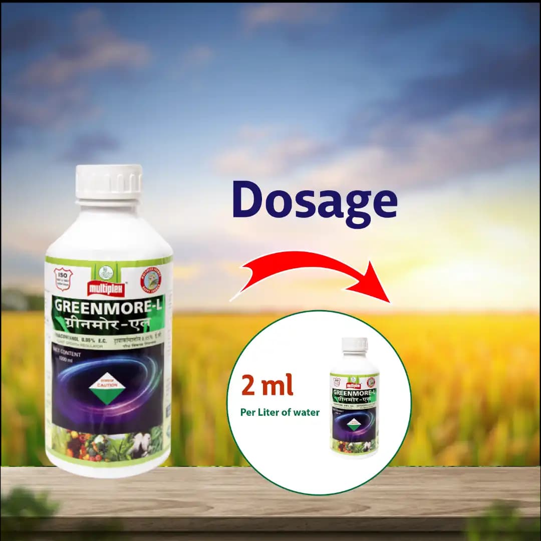 Multiplex Greenmore-L Triacontanol 0.05% EC Plant Growth Promoter For Better Yield And Plant Growth - Image 3