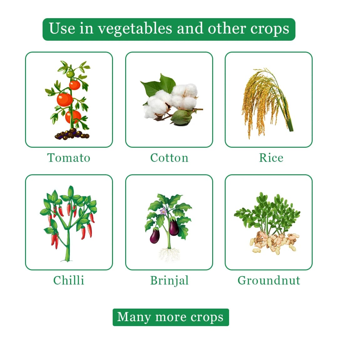 Bomba Super Insecticide - Imidacloprid 30.5% SC - Image 4