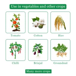 Bomba Super Insecticide - Imidacloprid 30.5% SC 4
