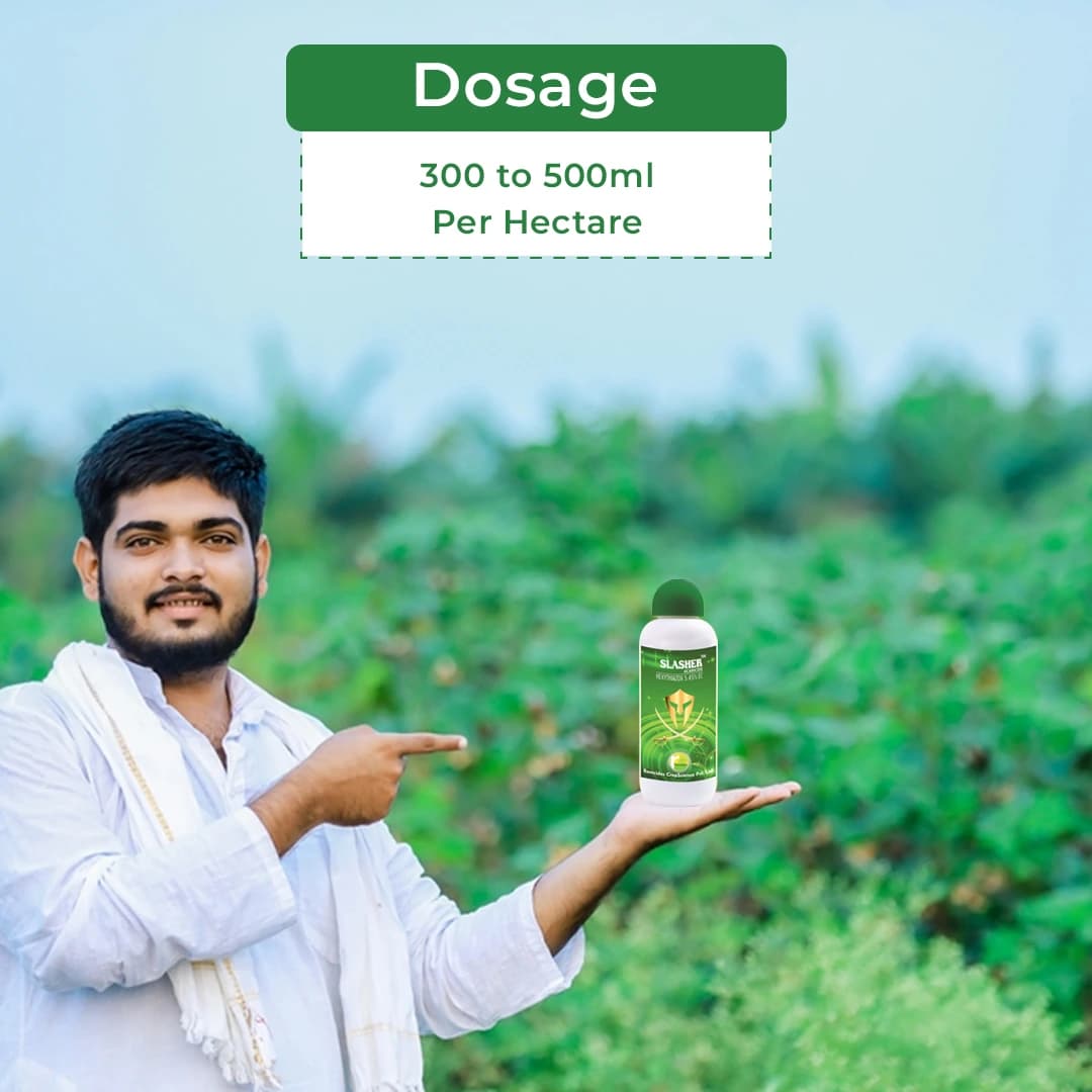 Ramcides Slasher Acaricide - Hexythiazox 5.45% EC - Image 5