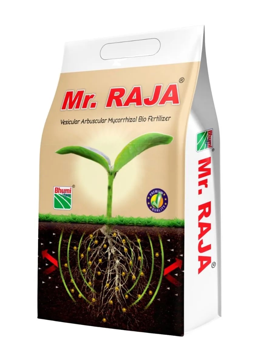 Bhumi Mr. Raja VAM (Vesicular Arbuscular Mycorrhiza) Bio Fertilizer, Helps In Root Development & Increases White Roots Organically