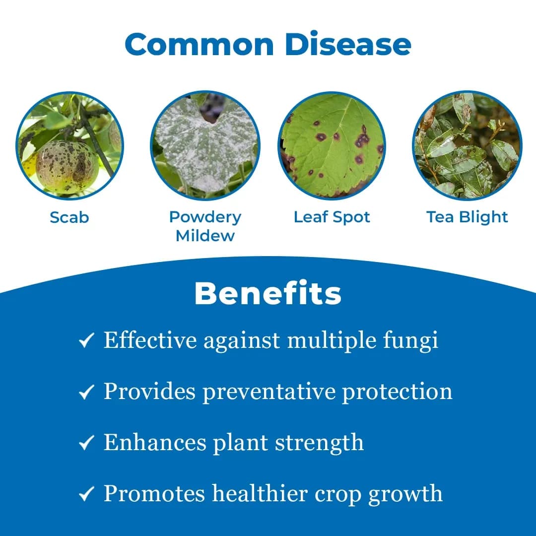 EBS Tebsul-75 Fungicide - Image 3