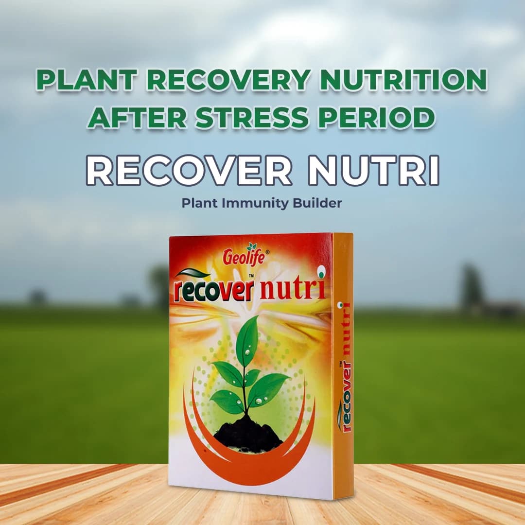 Geolife Recover Nutri Plant Immunity Builder, Non Toxic Fungus Antioxidant, Effective Against Fungus Diseases, Develop Immunity In Plants - Image 2
