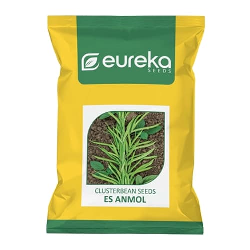 Eureka ES ANMOL Improved Hybrid Clusterbean Seeds, High Yield, Upright Variety