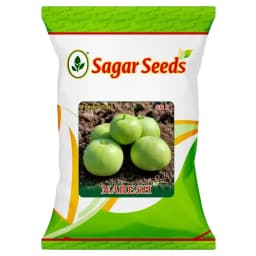 Sagar Naresh F1 Hybrid Tinda Seeds, High Yield, Early Maturity, Light Green Hairy Fruits 1