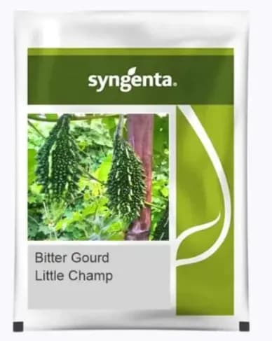 Syngenta Little Champ Hybrid Bitter Gourd Seeds - Image 1