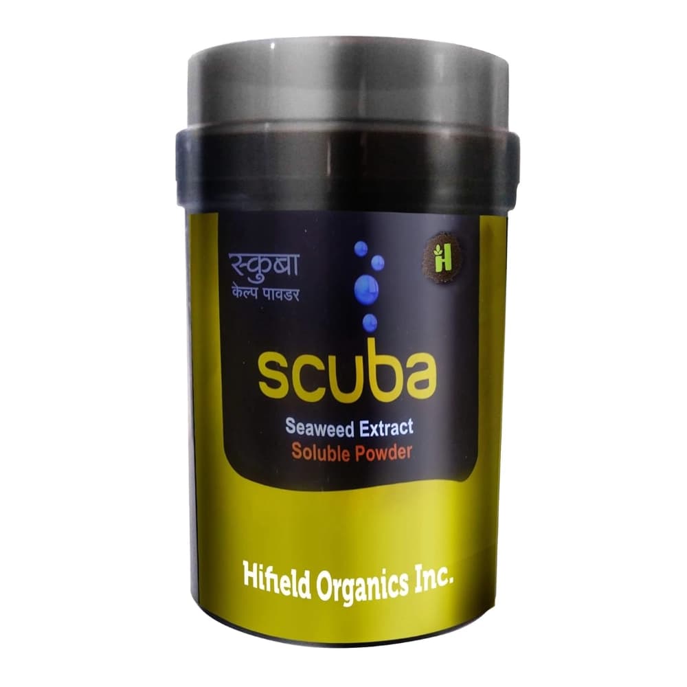 Scuba SP Seaweed Extract, Increases Flowering, Fruiting and Helps In Overall Growth of Plants