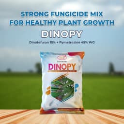 Dinopy Insecticide - Dinotefuran 15% + Pymetrozine 45% WG 2