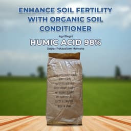 Agribegri Humic Acid 98% (Super Potassium Humate) Loose Bag Packing, It Helps The Soil To Improve Plant Growth 2