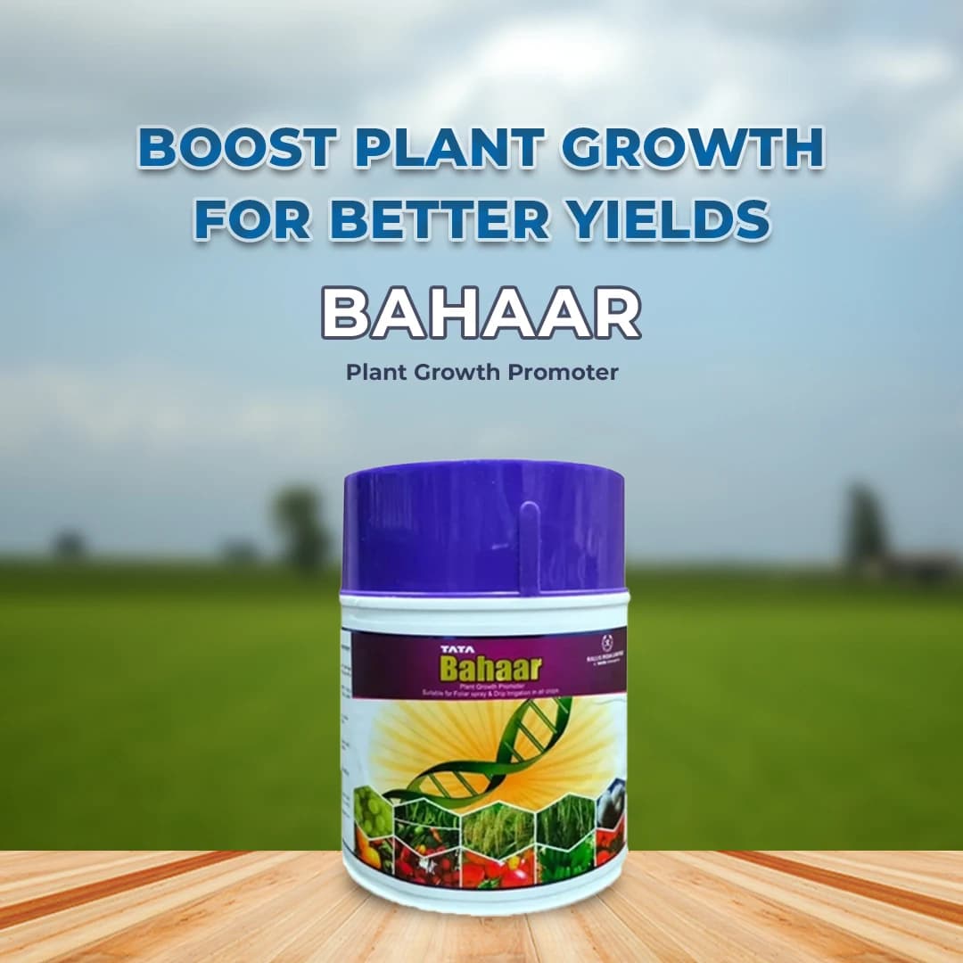 टाटा रेलिस बहार, एक प्रभावी पौधों की वृद्धि संवर्धक, सभी फसलों में पत्तियों पर छिड़काव के लिए उपयुक्त। - Image 2