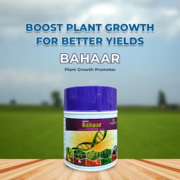 टाटा रेलिस बहार, एक प्रभावी पौधों की वृद्धि संवर्धक, सभी फसलों में पत्तियों पर छिड़काव के लिए उपयुक्त। 2