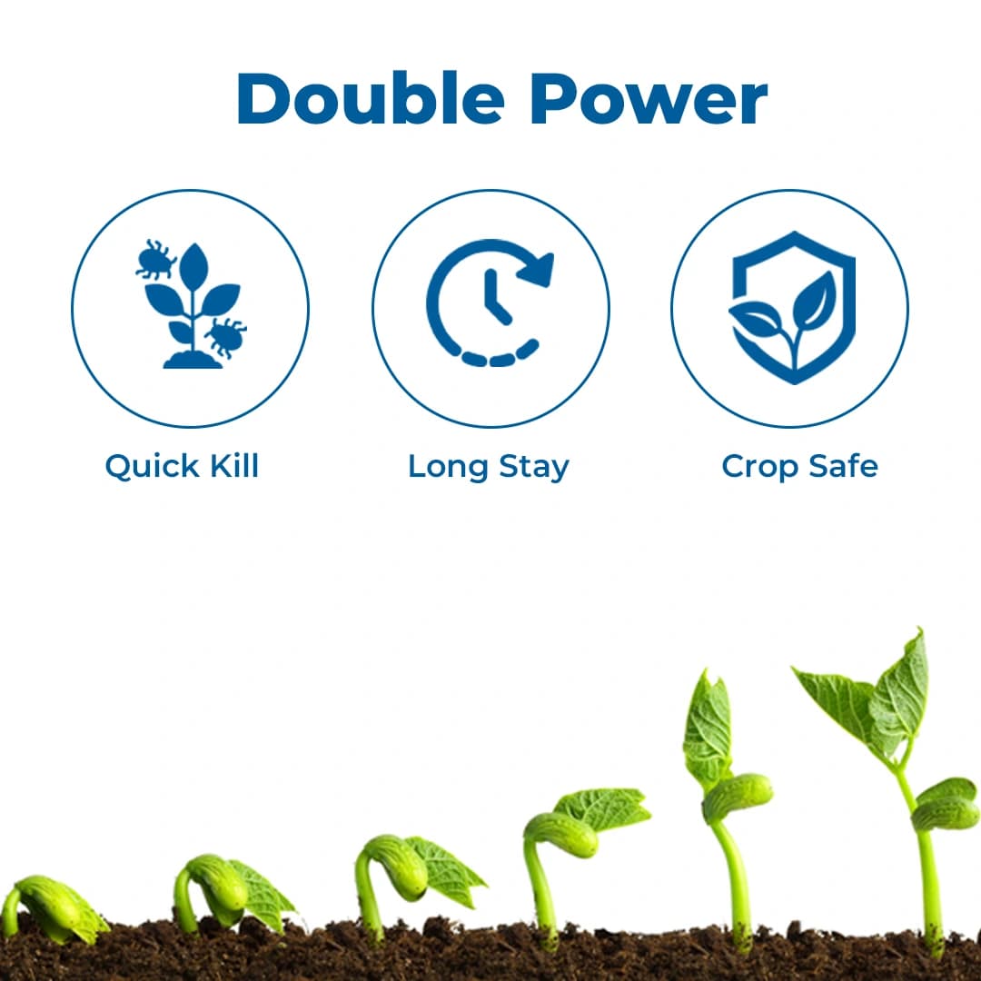 Adama Anolik Thiamethoxam 12.6% + Lambda Cyhalothrin 9.5% ZC Insecticide, Effective Control Against Sucking Pests - Image 3