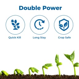 Adama Anolik Thiamethoxam 12.6% + Lambda Cyhalothrin 9.5% ZC Insecticide, Effective Control Against Sucking Pests 3