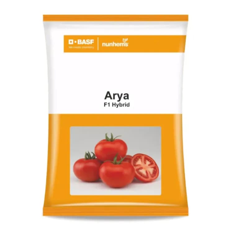 BASF Nunhems Arya F1 Hybrid Tomato Seeds, Resistance To Tomato Leaf Curl Virus - Image 1