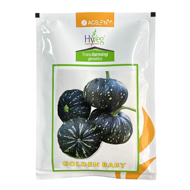Hyveg Golden Baby F1 Hybrid Pumpkin Seeds, Flat Round, For Kharif and Summer Seasons