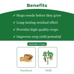 UPL Dost Super Pendimethalin 38.7% CS , Selective Pre Emergent Herbicide 4