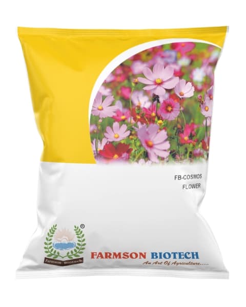 फार्मसन एफबी कॉस्मॉस फूल नॉन-हाइब्रिड के बीज, रंगीन और दीर्घकालिक, आपके बाग़ को रोशन करें।