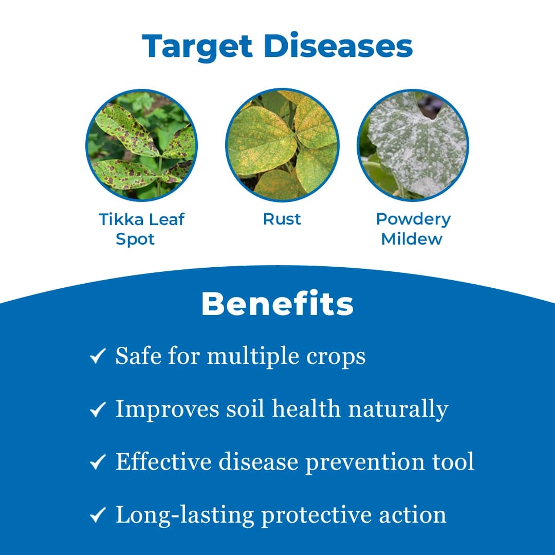 Excel Sulfex Sulphur 80% Wp Fungicide, Broad Spectrum Contact And Protective Fungicide - Image 3