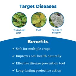 Excel Sulfex Sulphur 80% Wp Fungicide, Broad Spectrum Contact And Protective Fungicide 3