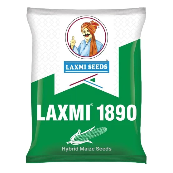 LAXMI 1890 F1 Hybrid Maize Seeds, High Yield, Bold Orange Semi Flint Grains