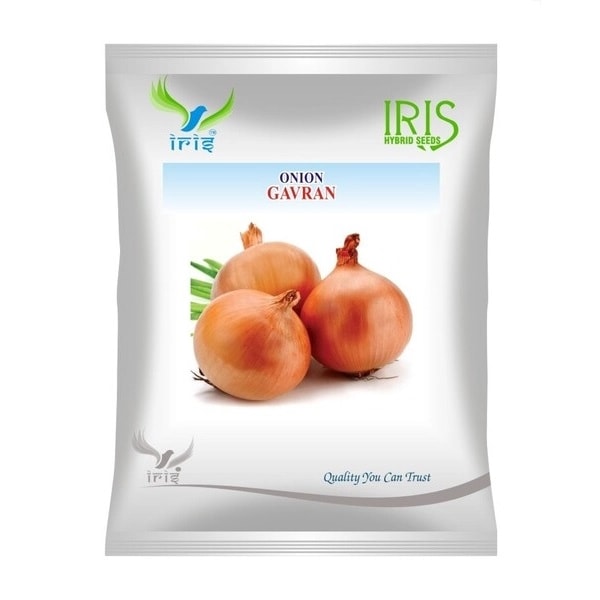 आईरिस गावरान ओपी प्याज के बीज, गोले के आकार के बल्ब, अर्ध-खड़े पौधे, ओपन पॉलिनेटेड