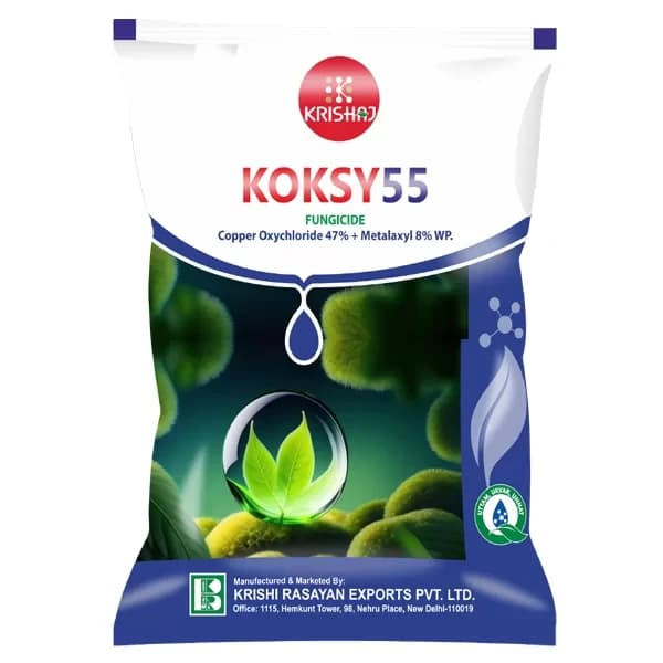 Krishi Rasayan KOKSY55 Copper Oxychloride 47% + Metalaxyl 8% WP Fungicides, Effective Fungal Diseases Control In Crops - Image 1