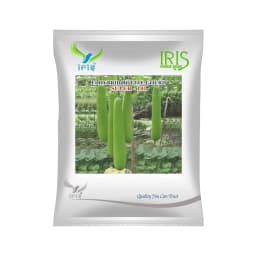 Iris Super-101 F1 Hybrid Bottle Gourd Seeds, High Yield, Cylindrical Shape And Vigorous Growth 1