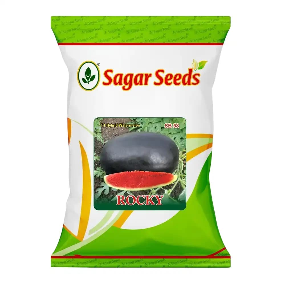 Sagar Rocky F1 Hybrid Watermelon Seed, Diploid Variety With Crimson Sweet Rind And Crisp Red Flesh - Image 1