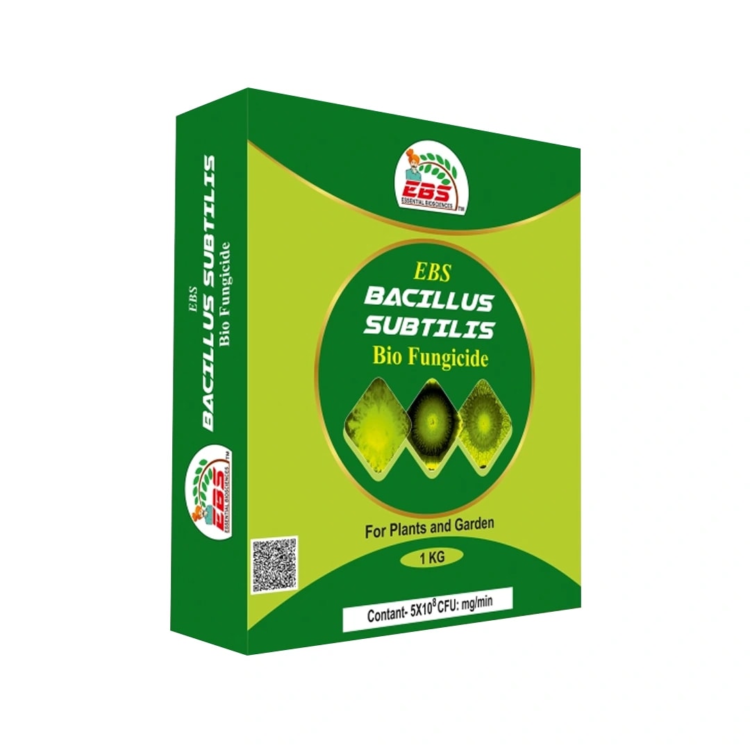 ईबीएस बैसिलस सबटिलिस, बायो फंगीसाइड पाउडर, पौधों और घर के बगीचे के लिए डाउनी मिल्ड्यू, पाउडरी मिल्ड्यू और जीवाणु जनित रोगों को नियंत्रित करता है