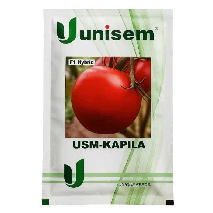 Unisem USM-KAPILA F1 Hybrid Tomato Seeds - Image 1