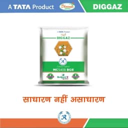 Tata Rallis Diggaz MC 5408 BG-II Hybrid Cotton Seeds, High Early Yield (475 Gm) 3