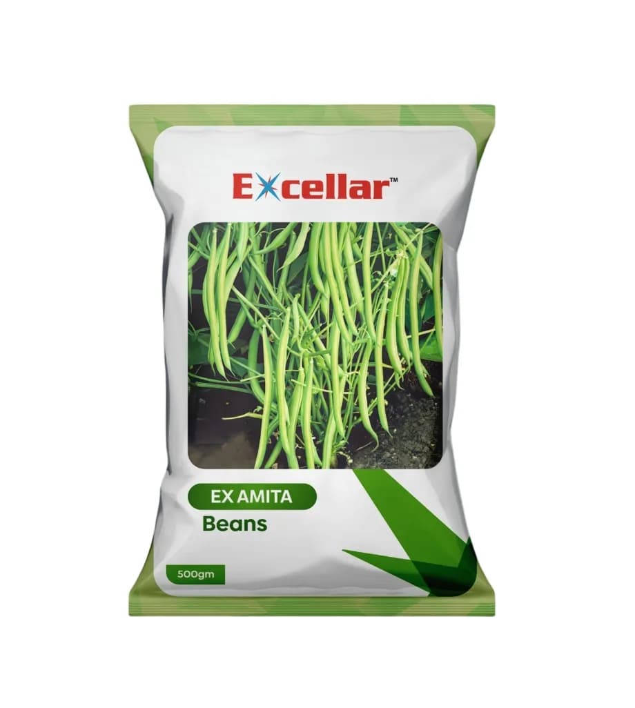 Excellar Ex Amita Falguni Beans Seed, Bushy And Strong Plant Type Producing Glossy Dark-Green Pods - Image 1