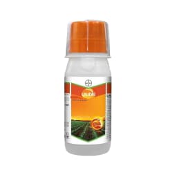 Bayer Laudis - Tembotrione 42% SC (34.4% ww) Broad Spectrum Post Emergence Herbicide, Surfactant For Control Of Broad Leaf and Grassy Weeds 1