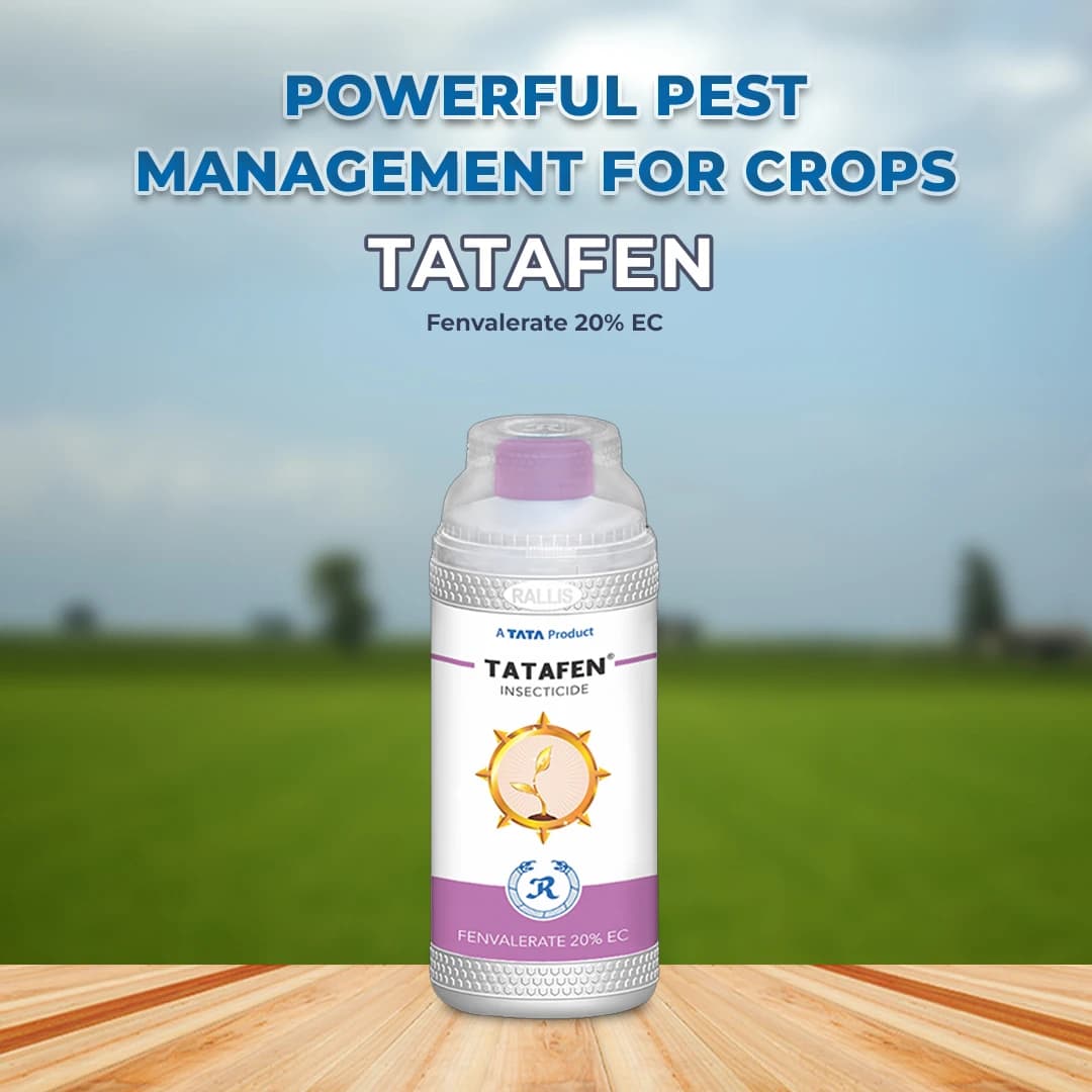 TATAFEN - Fenvalerate 20% EC Contact Synthetic Pyrethroid Insecticide For Controlling Termites - Image 2