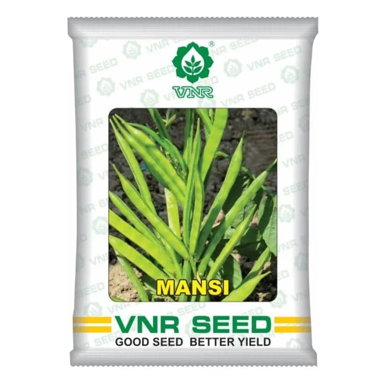 VNR MANSI Hybrid Cluster Bean Seeds, Open Pollinated, Early Maturity - Image 1