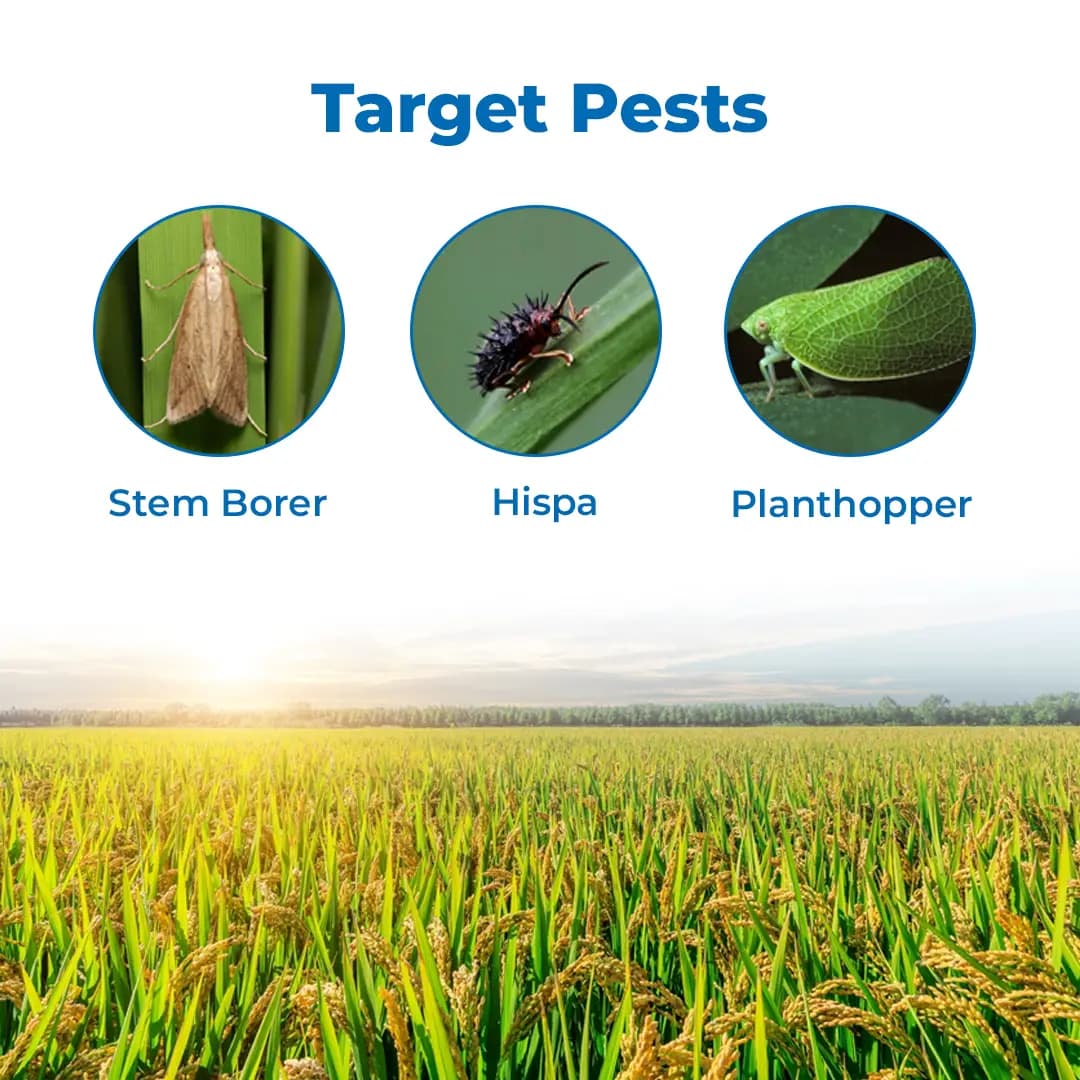 Willowood Inovexia Insecticide - Image 3