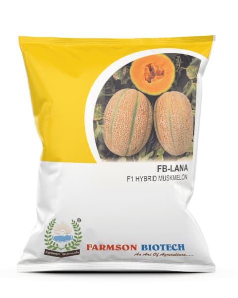 Farmson FB Lana F1 Hybrid Muskmelon Seeds, Early Maturity, For Kharif and Summer Season
