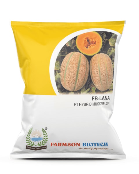 Farmson FB Lana F1 Hybrid Muskmelon Seeds, Early Maturity, For Kharif and Summer Season