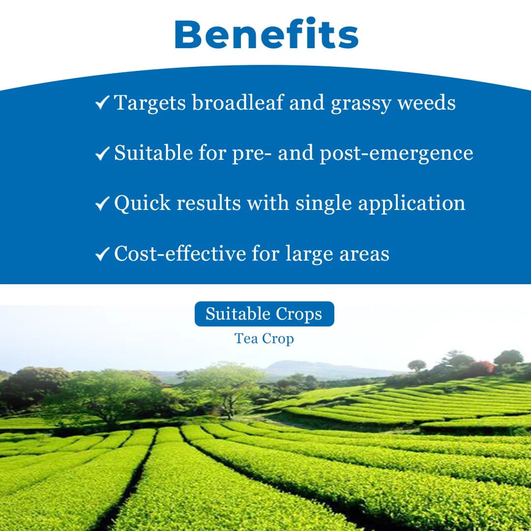 Startek Chemicals Glyphogold, Glyphosate 41% SL, Best And Effective On All Types Of Weeds. - Image 4