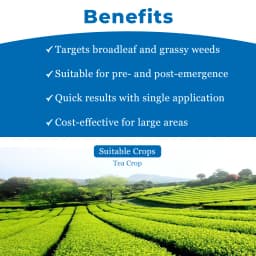 Star Chemicals Glyphogold, Glyphosate 41% SL, Best And Effective On All Types Of Weeds. 4