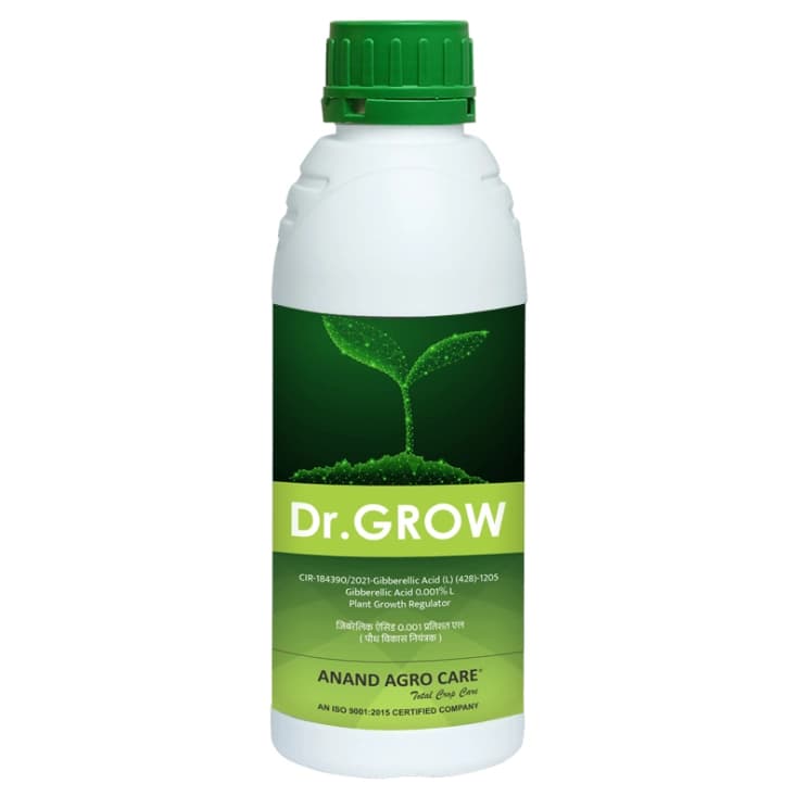 Dr. Grow - Gibberellic Acid 0.001% L