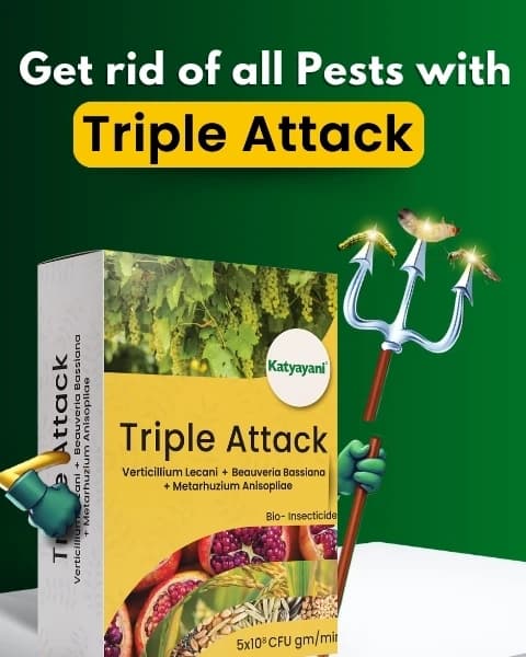 Katyayani Triple Attack Bio-Insecticide - Image 6