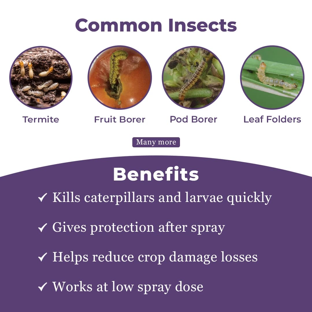 Clorentis Insecticide - Chlorantraniliprole 18.5% SC - Image 3