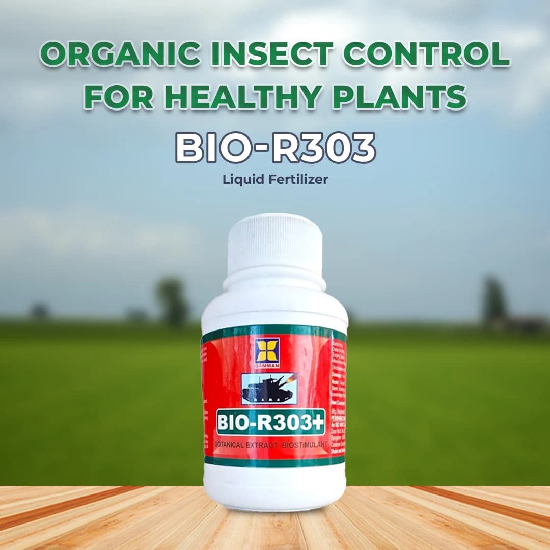 Damman Bio-R303 is a Liquid Fertilizer, Helps in Increasing Flowering, Photosynthesis and Over all Plant Growth, Used in Chilli and Tomato - Image 2